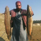 Tarbela dam fishing