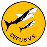 CEPLIS - Malkas krāsnis un plītis