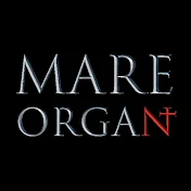 Mare organ 마레 오르간