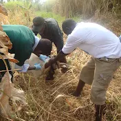 Dr Mugabe Timothy - Veterinarian