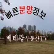 베테랑부동산TV