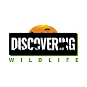 Discovering Wildlife