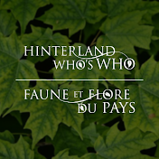 Hinterland Who's Who / Faune et flore du pays