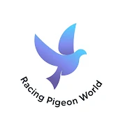 Racing Pigeon World