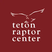 tetonraptorcenter