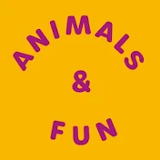 Animals & Fun Cartoons
