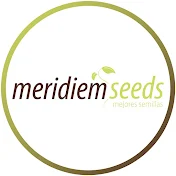 Meridiem Seeds ES