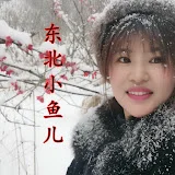 东北小鱼儿