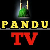 PANDU TV