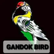 GANDOK BIRD