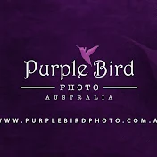 Purple Bird Photo Australia