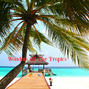 Wonders Of The Tropics