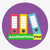 Accounting Pro