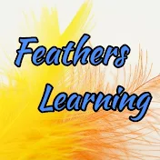 Feathers Learning