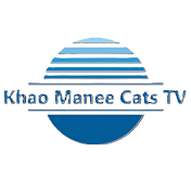 khao manee cats tv