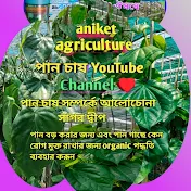 Aniket agriculter পান চাষ YouTube channel ♥️