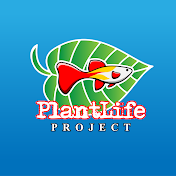 PlantLife Project