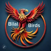 Bilal birds