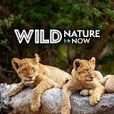 Wild Nature Now