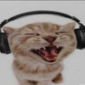 CatWithDaHeadphonez