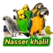 NASSER KHALIL4