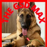 THE GSD MAX