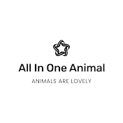 All In One Animal