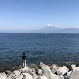 TASの東京湾釣行記