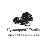 Ngenangani Media