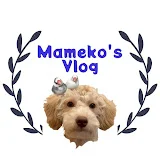 Mameko's Vlog