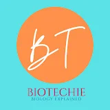 BIOTECHIE