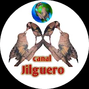 canal jilguero