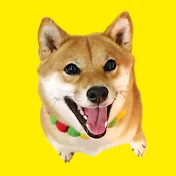 海外暮らしの柴犬ももっぷ / Shibainu MOMOPPU