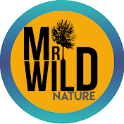 Mr Wild Nature