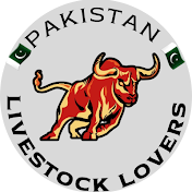 PAKISTAN LIVESTOCK Lovers