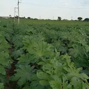 farmer's life with dev vlog