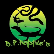 B.P.Reptile’s