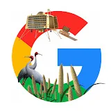 Google India