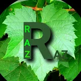 RAZ