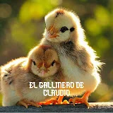 EL GALLINERO DE CLAUDIO