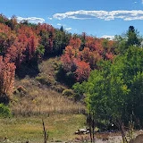 OffGrid Utah