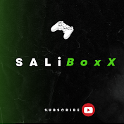 SALiBoxX