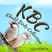 Khalid Birds Collection