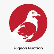 PIGEON AUCTION