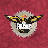 Egyptian Falcons الصقور المصرية