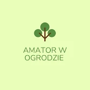 Amator w Ogrodzie