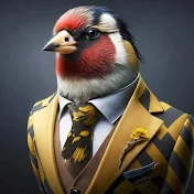 OMAR GOLDFINCH