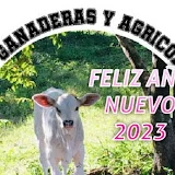 Actividades Ganaderas y Agricolas.