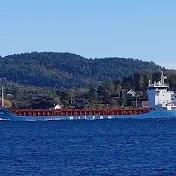 Ships and boats passing by on the fjord.