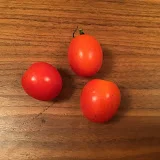 ともトマトチャンネル🍅